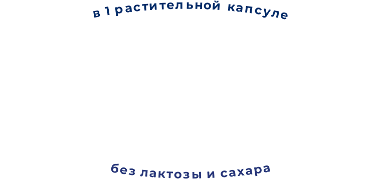 Капсула